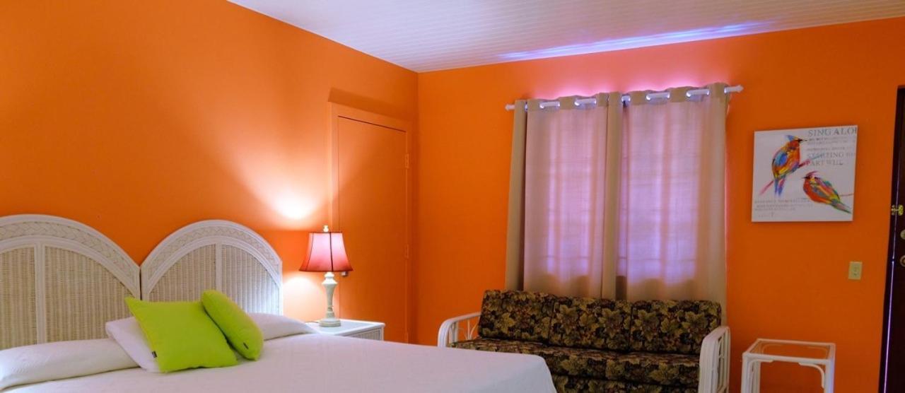 Aruba Quality Apartments & Suites Palm Beach Esterno foto